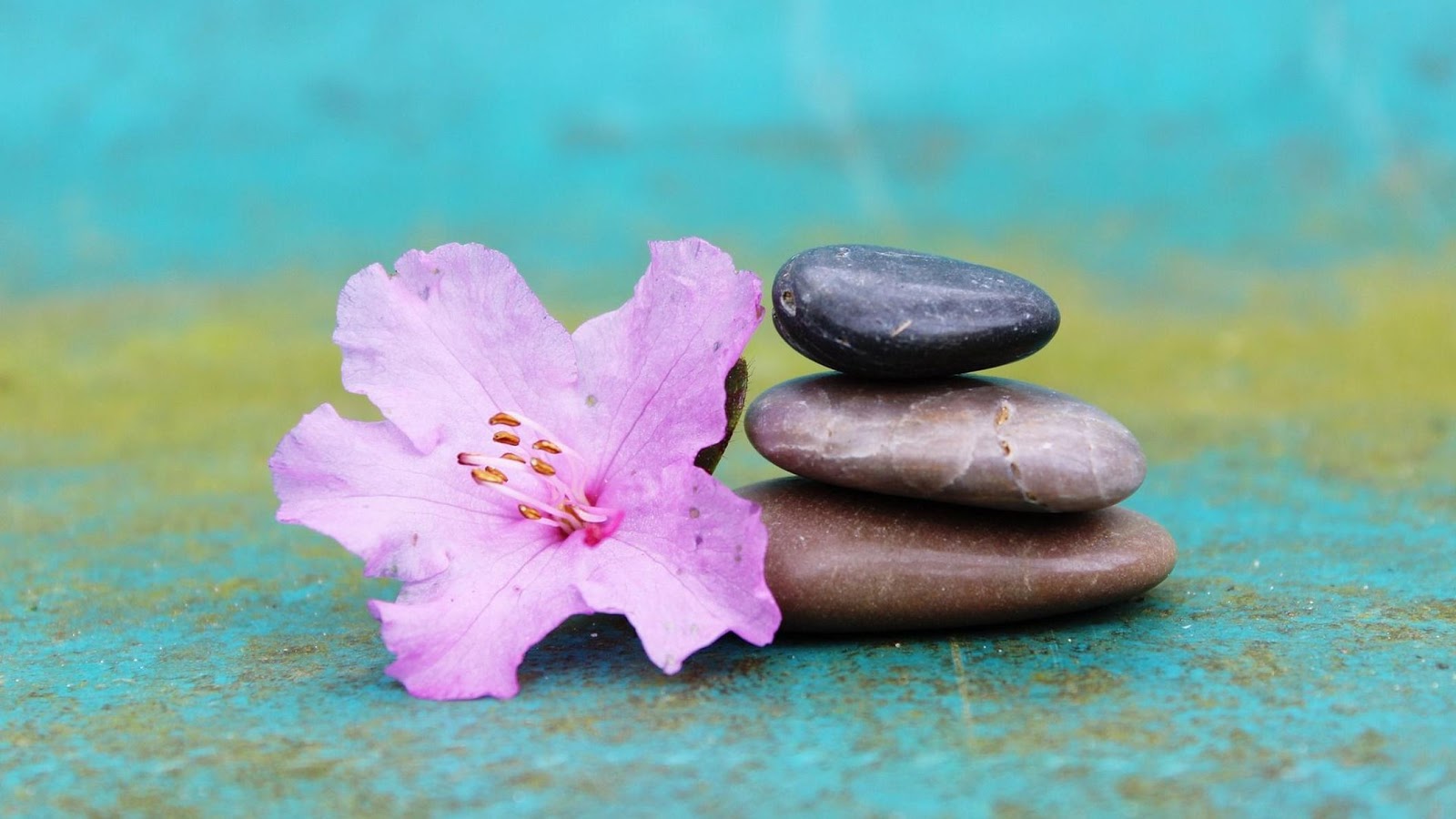 Sonia Esthéticienne