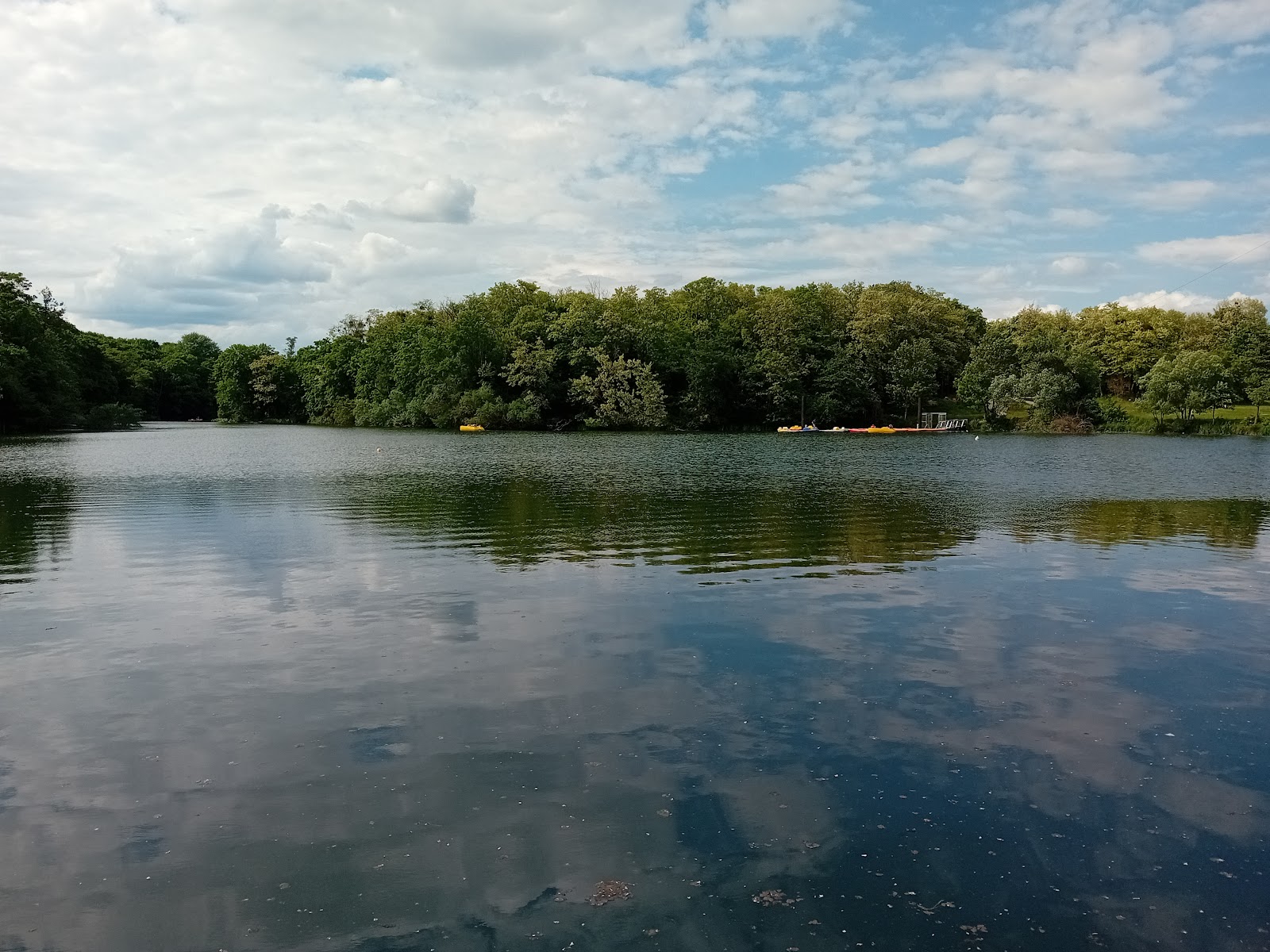 Releo beauté indienne