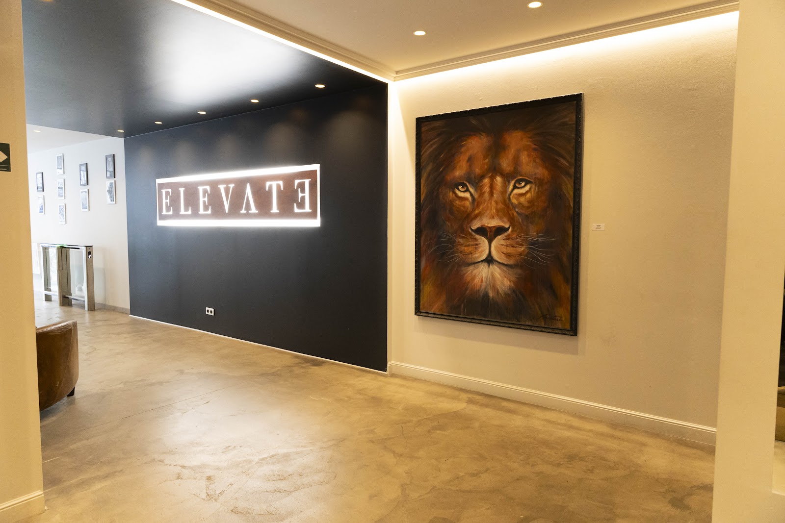 Elevate Premium Fitness Chartrons
