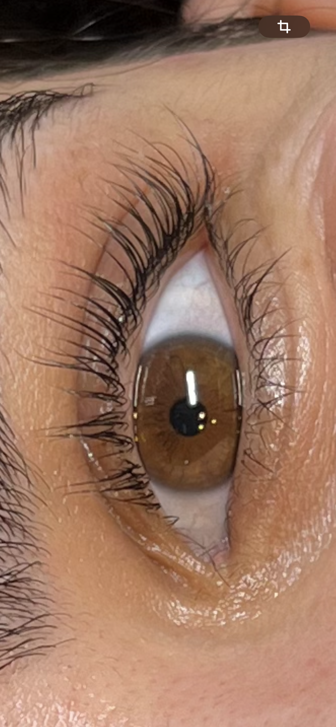 Regard De Velours