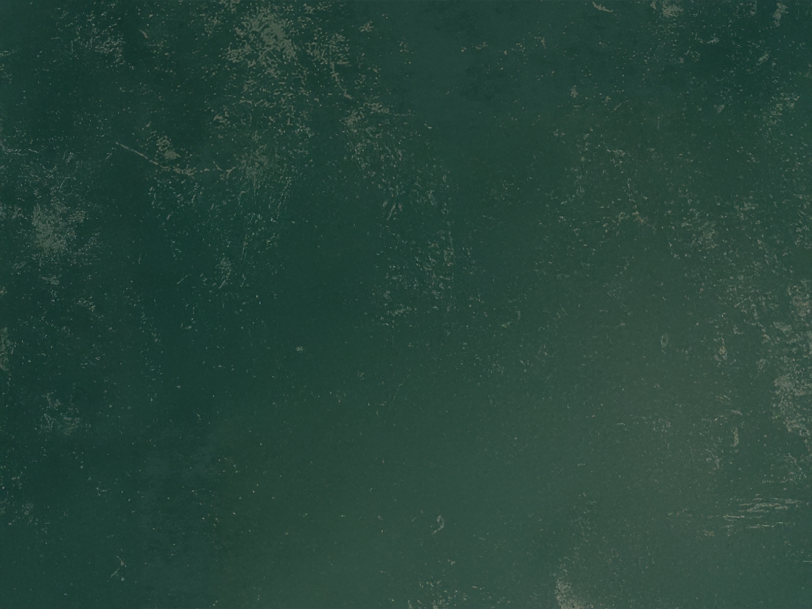 Seven Barbershop - Anatole