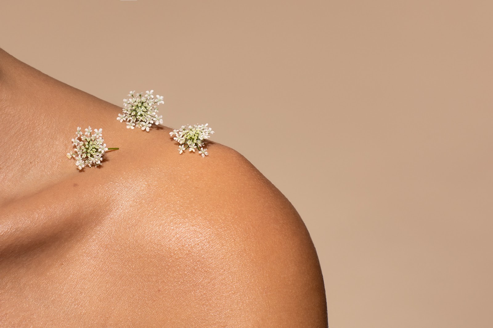 Beaujour Saint-Etienne