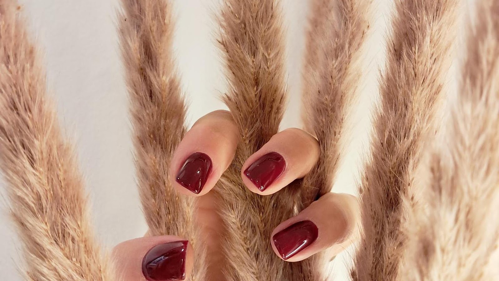 Origan Côté Ongles