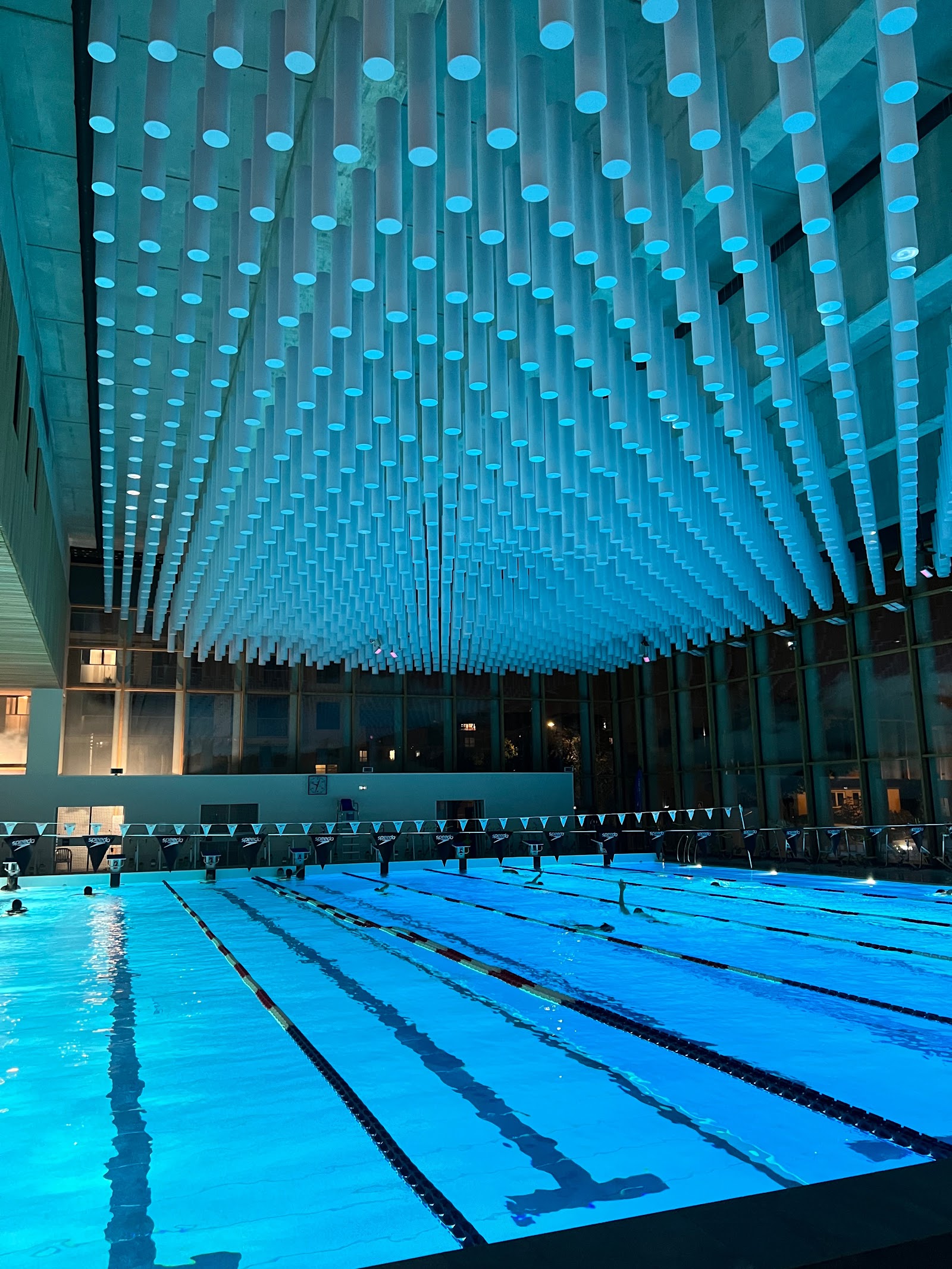 Aquatic Center Arsenal