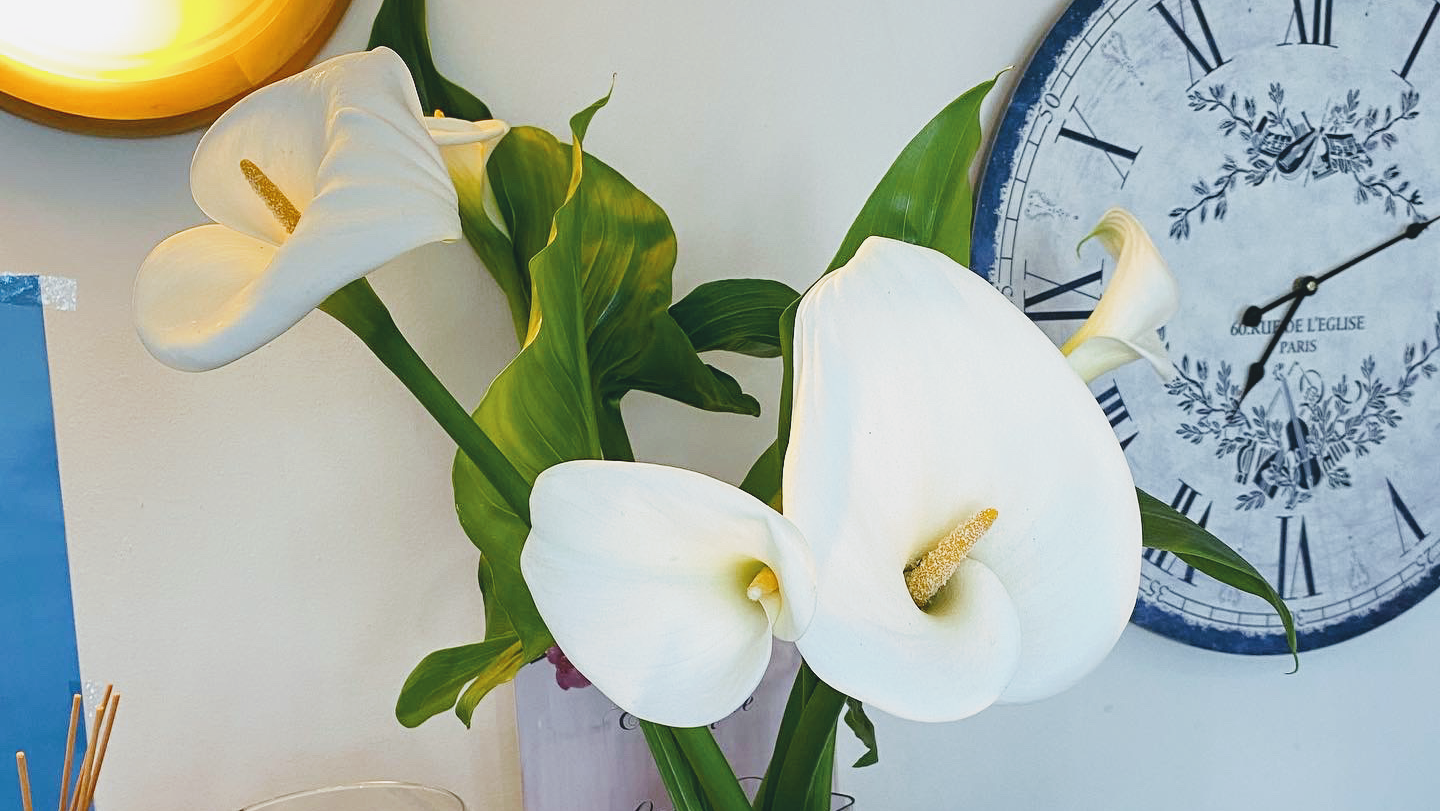 Espace beauté et bien-être - Nîmes