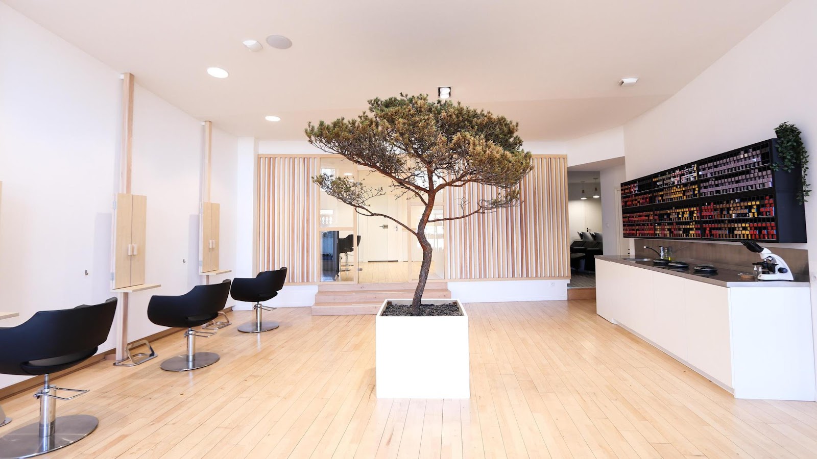 Mylaa Evans - Coiffeur Clermont Ferrand