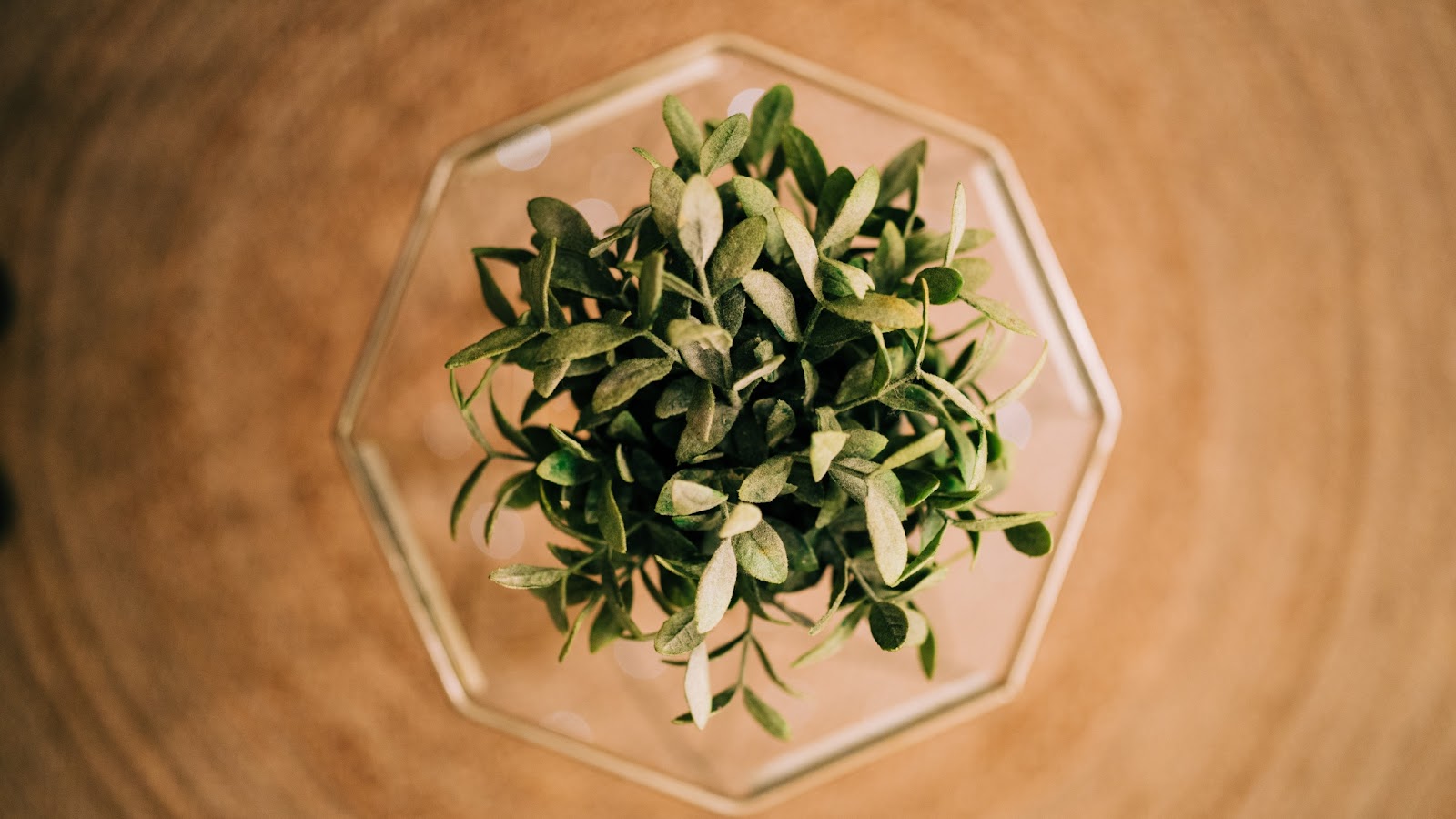 Naïa Spa Verdurier - Spa & Massage - Head Spa - Limoges