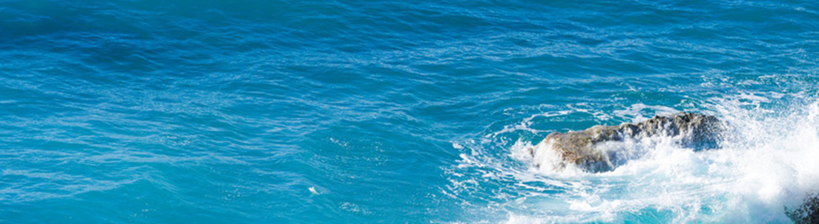 Beauty Gisèle Lojtek