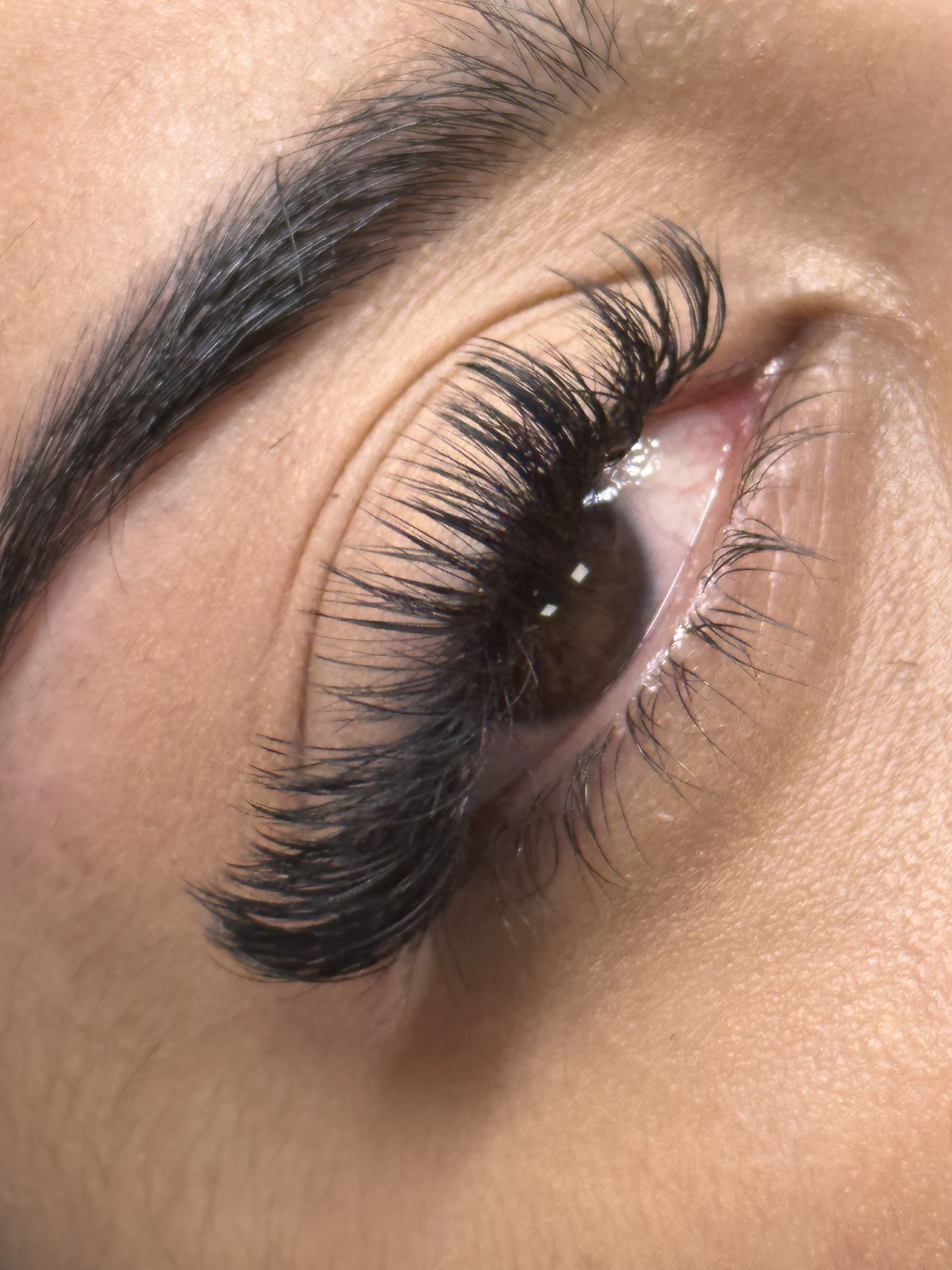 Beauty by Talia Limoges