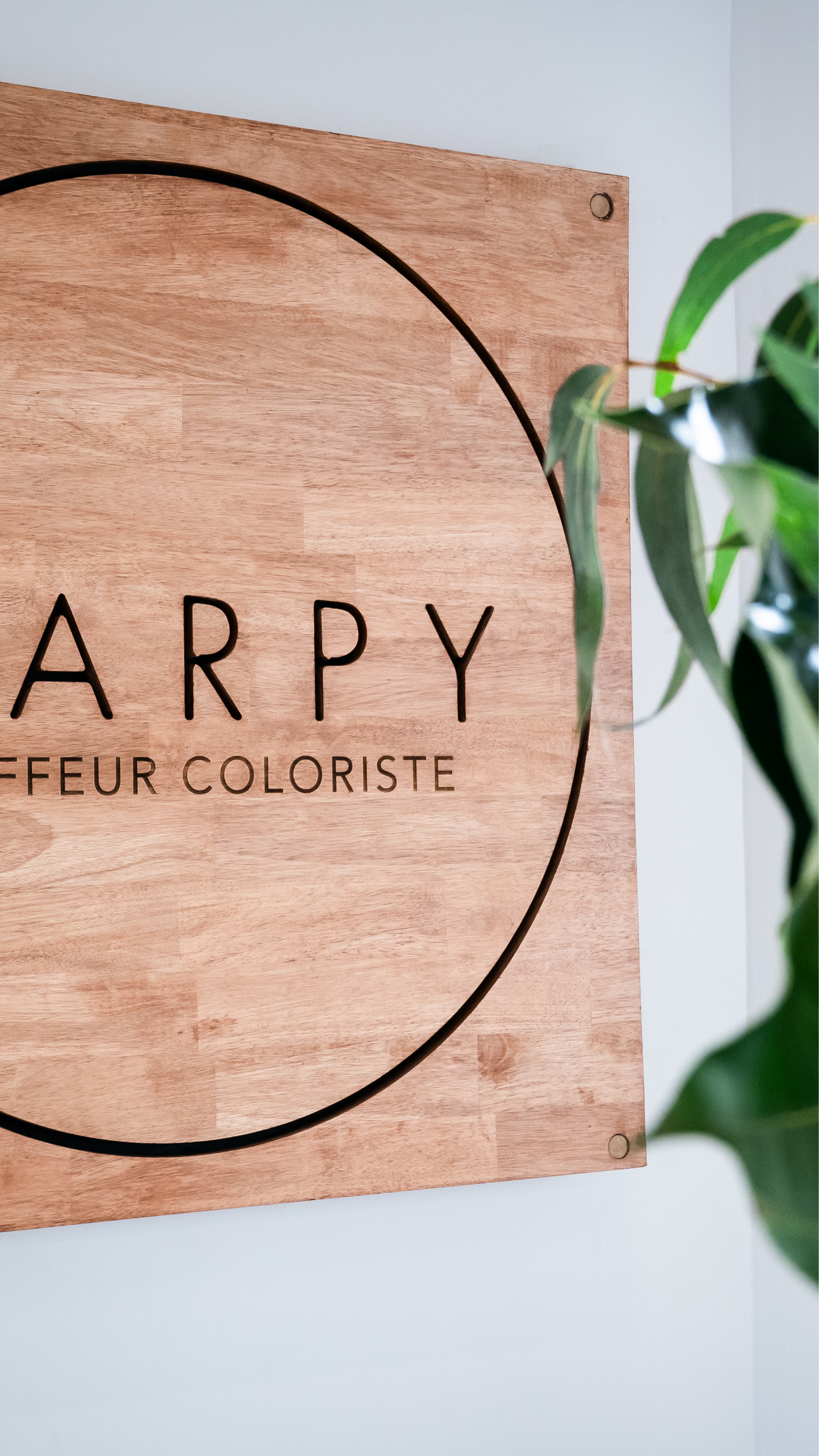 Carpy coiffeur coloriste Orléans