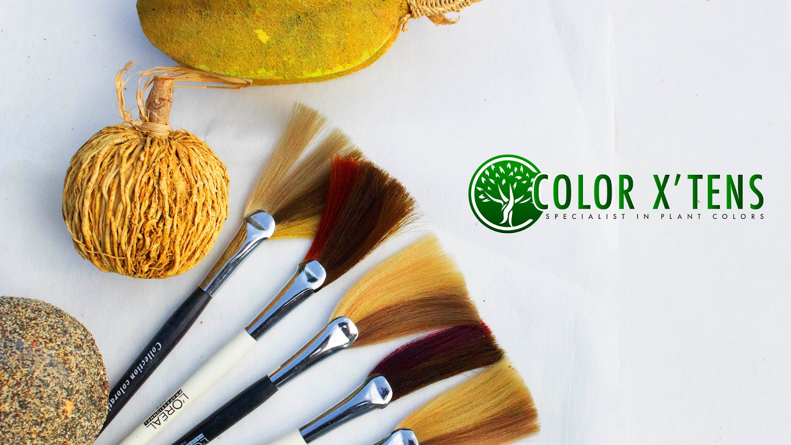 Color X'tens Coiffure - Perruques