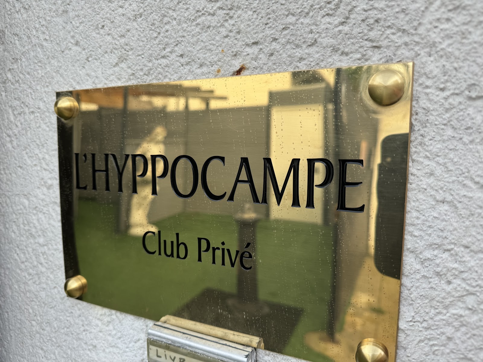L'Hyppocampe