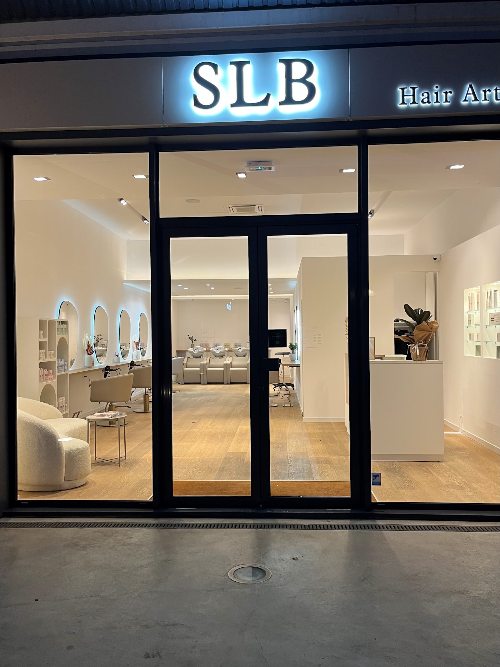 SLB hair artist