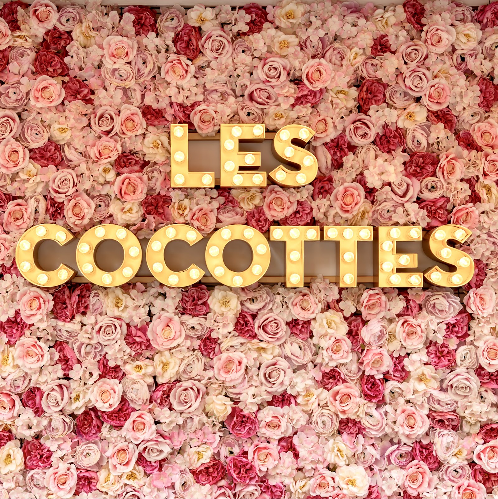 Institut Les Cocottes